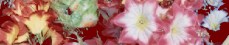 Plastikblumen